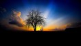 /album/termeszet/amazing-nature-hd-wallpaper-1-jpg/